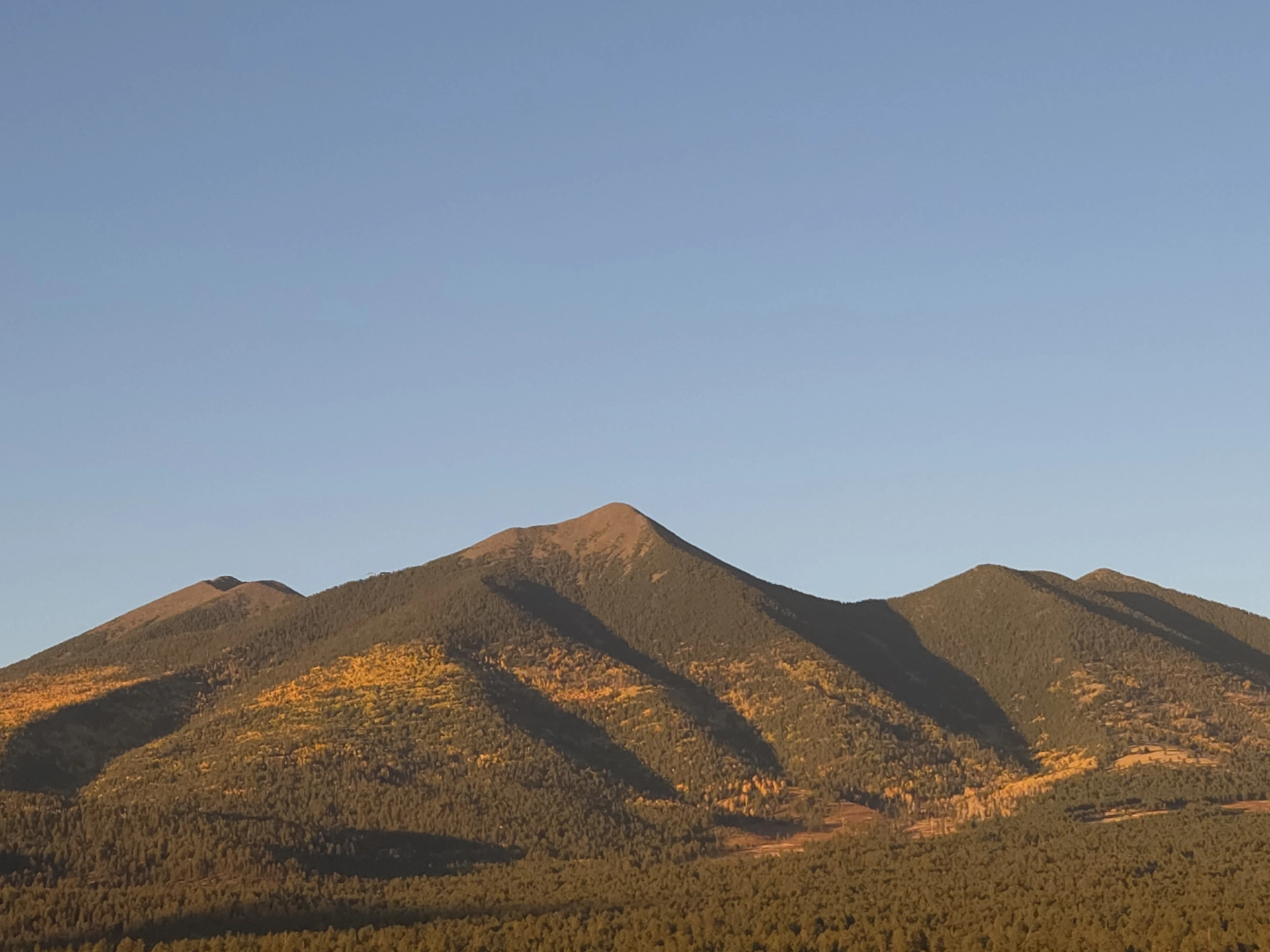 summer landscape 7